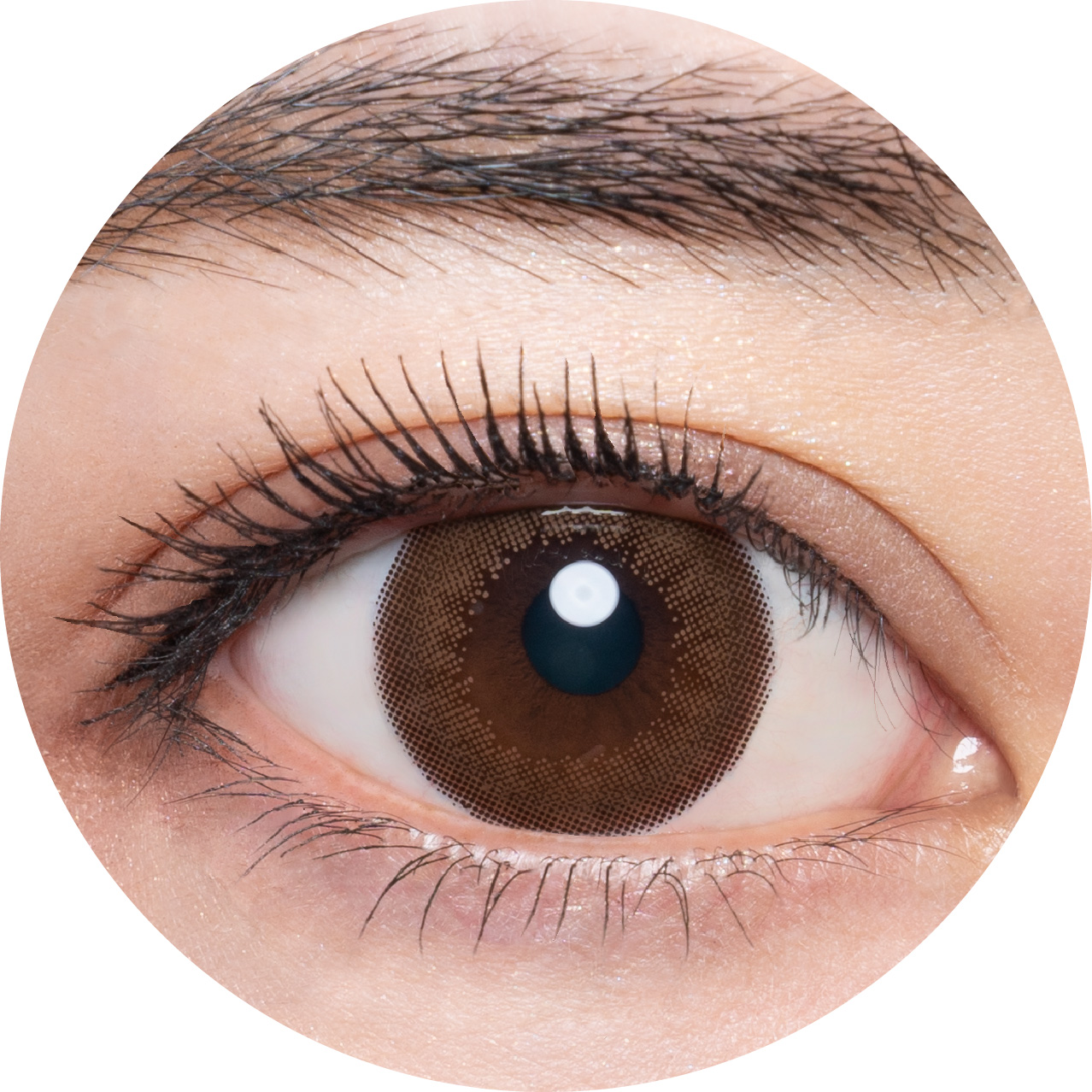 メメマールのデイライトキャメルワンデーを着用した目の写真