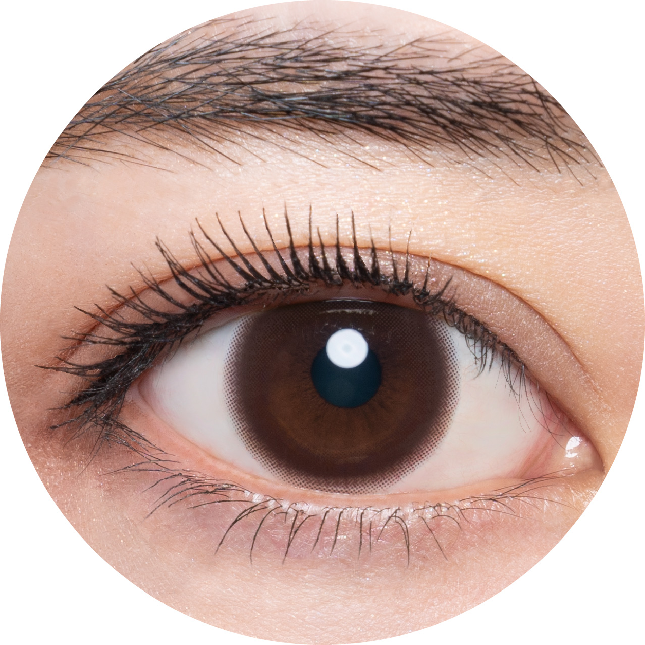 メメマールのナイトコーラルワンデーを着用した目の写真