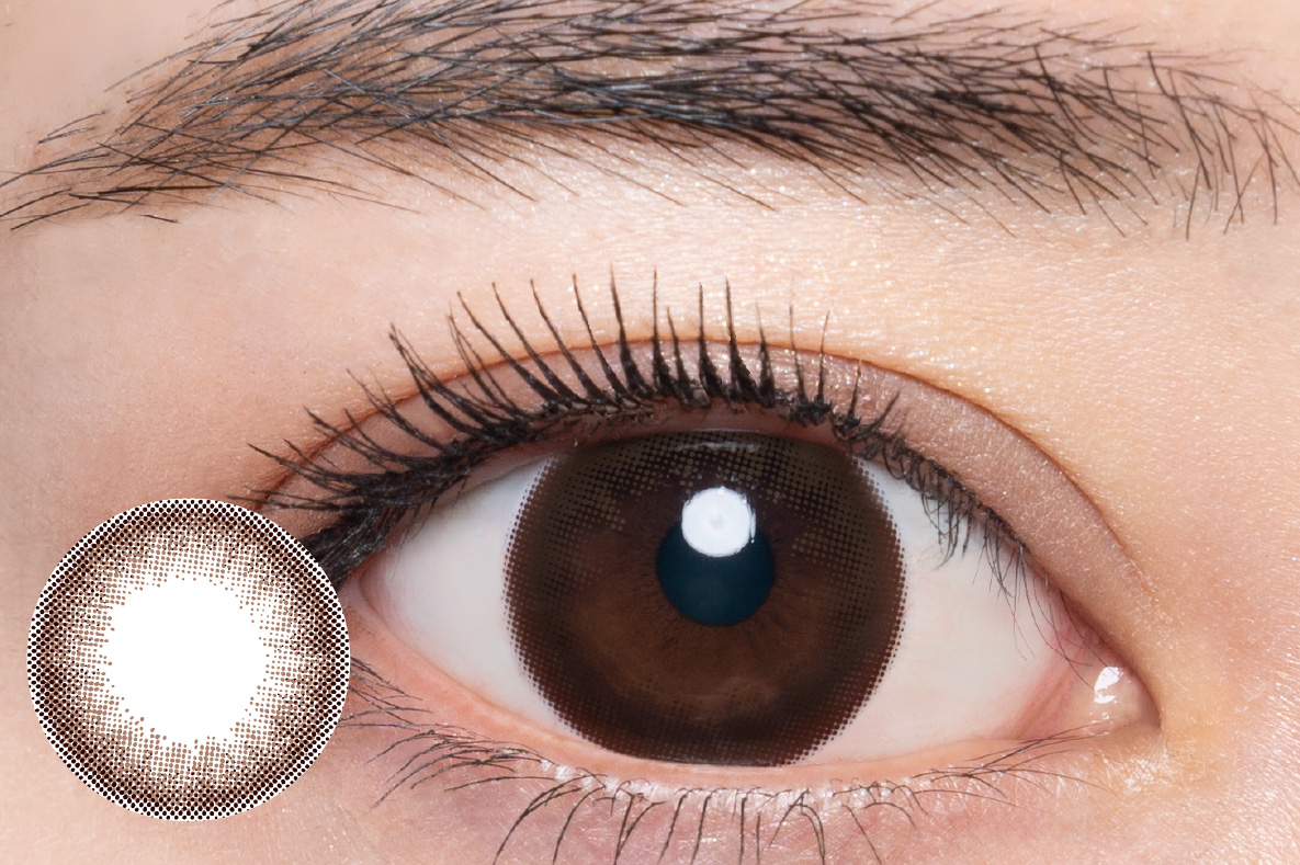 人気の定番色ダークブラウン・トワイライトセピア