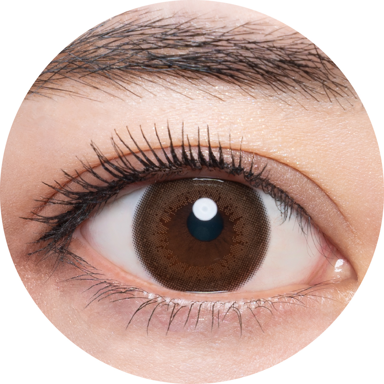 メメマールのティアサンセットワンデーを着用した目の写真