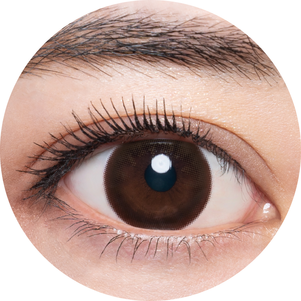 メメマールのトワイライトセピアを着用した目の写真